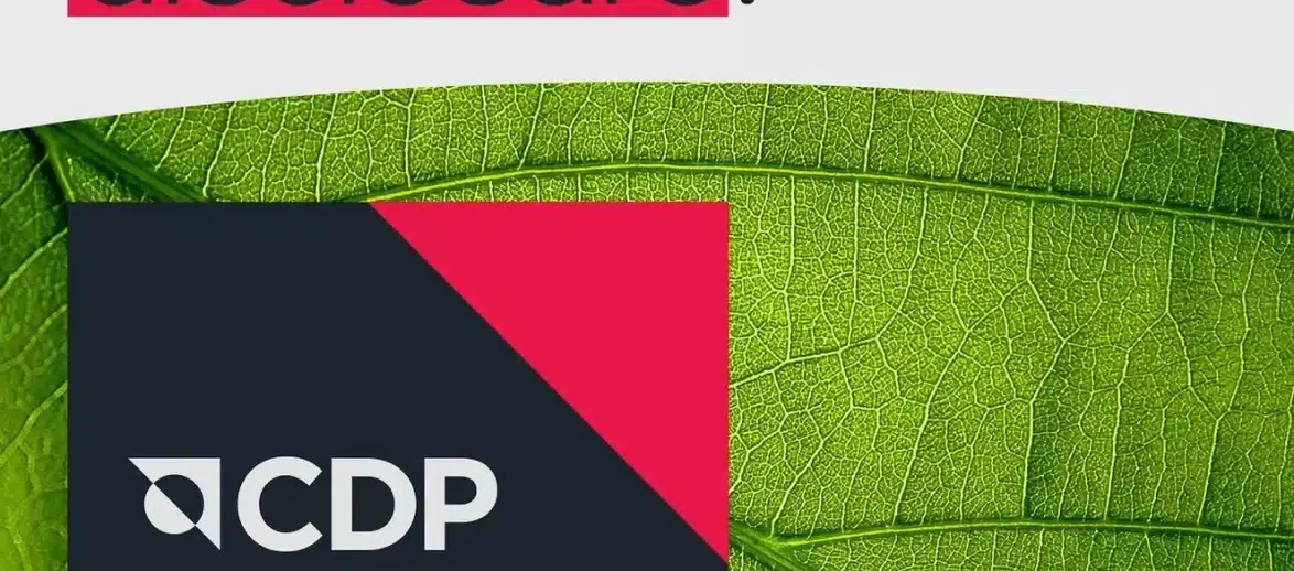 DeFacto, CDP'nin İklim Değişikliği Programında Liderlik Seviyesinde Yer Aldı