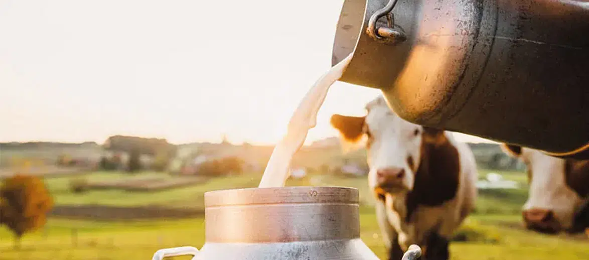 Sokak Sütü Modası Sağlık Açısından Ne Kadar Güvenli?