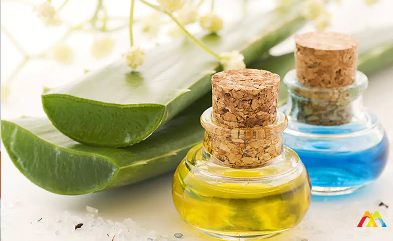 Cilt Lekelerine Aleo Vera Maskesi