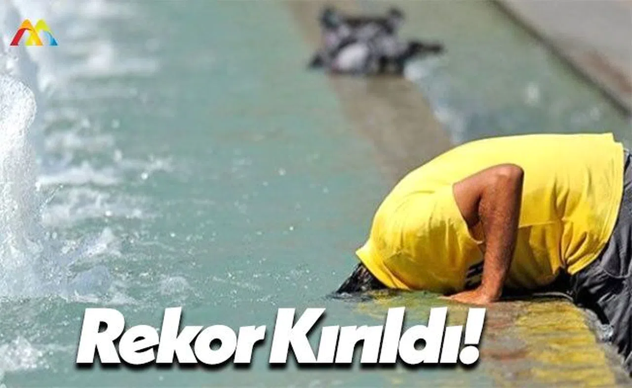 2016 Yılında Sıcaklık Rekorları Kırıldı!