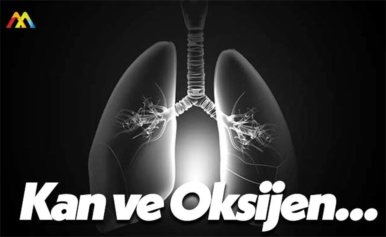 Bu Hastalık İnsanları Öldürüyor!