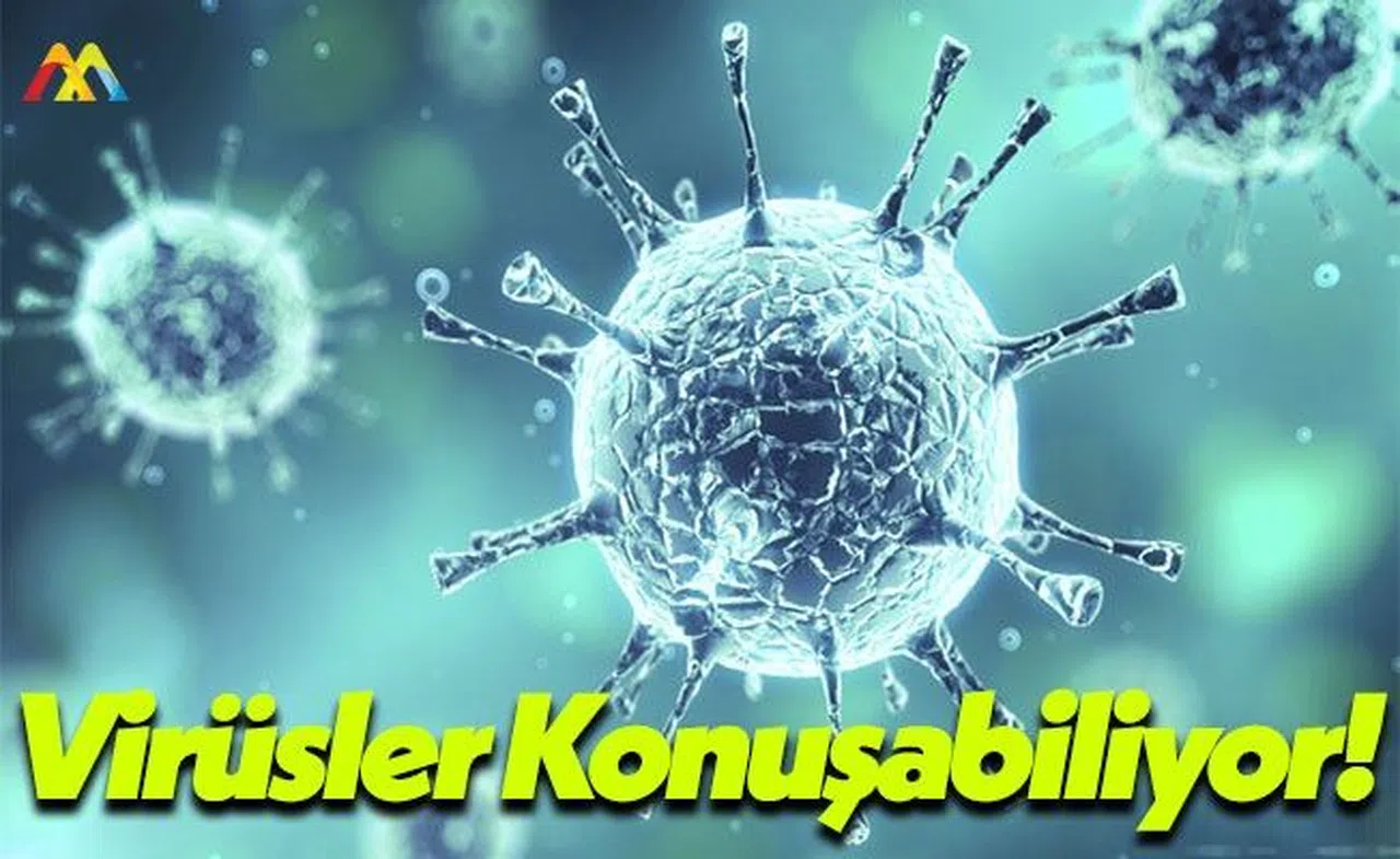 İsrail Weizmann Enstitüsü Moleküler Genetik Bölümü: Konuşabiliyorlar!