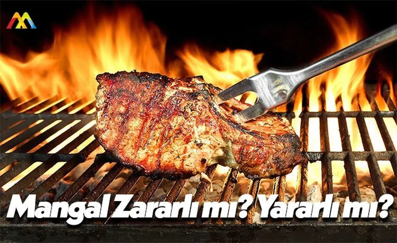 Mangalın İnsan Sağlığına Zararı mı Var? Yararı mı Var?