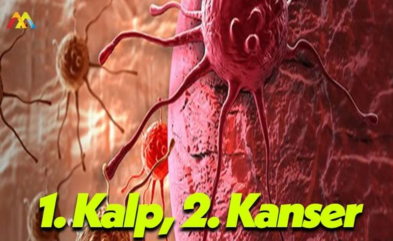 Kanser Gerçekten Ölümcül Bir Sağlık Sorunu!