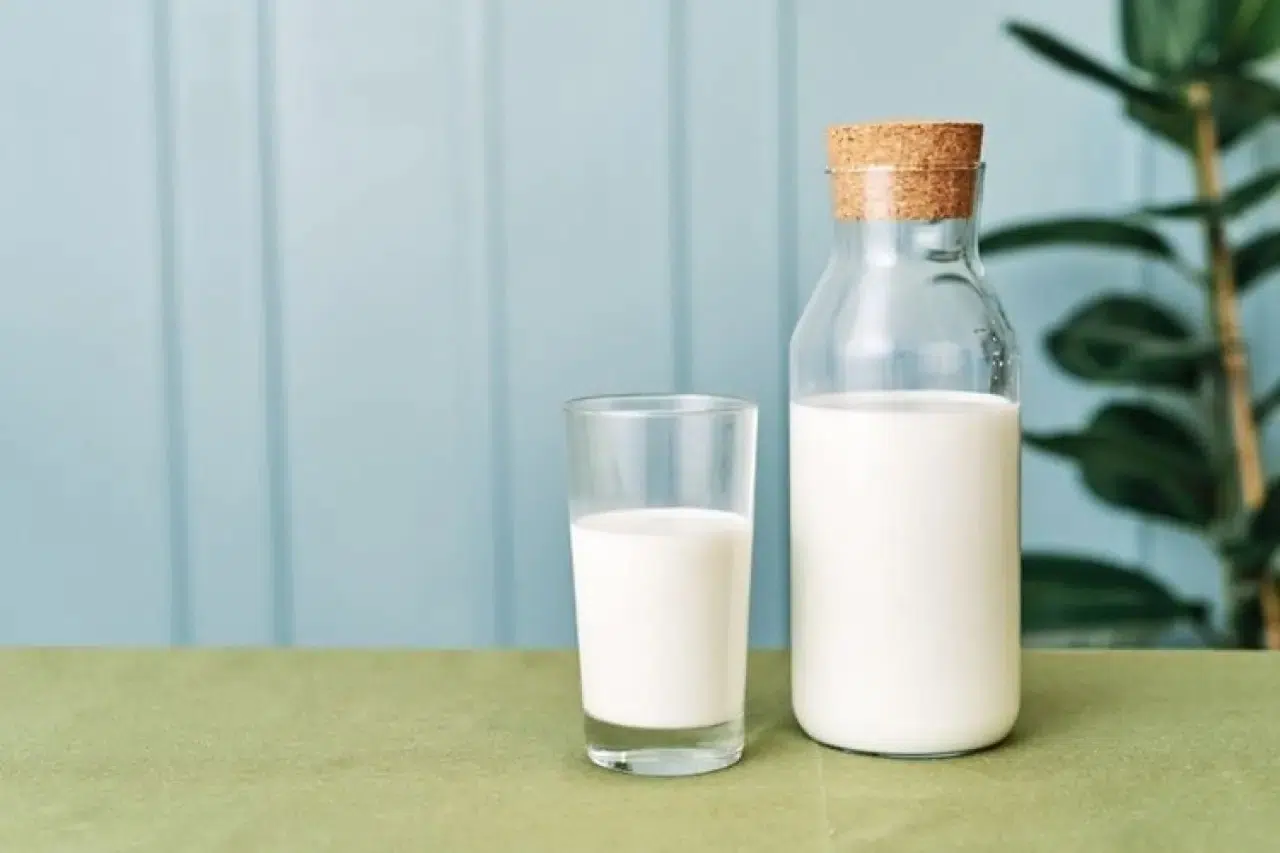 Sütün Bozulduğu Nasıl Anlaşılır, Bozuk Sütle Ne Yapılır?