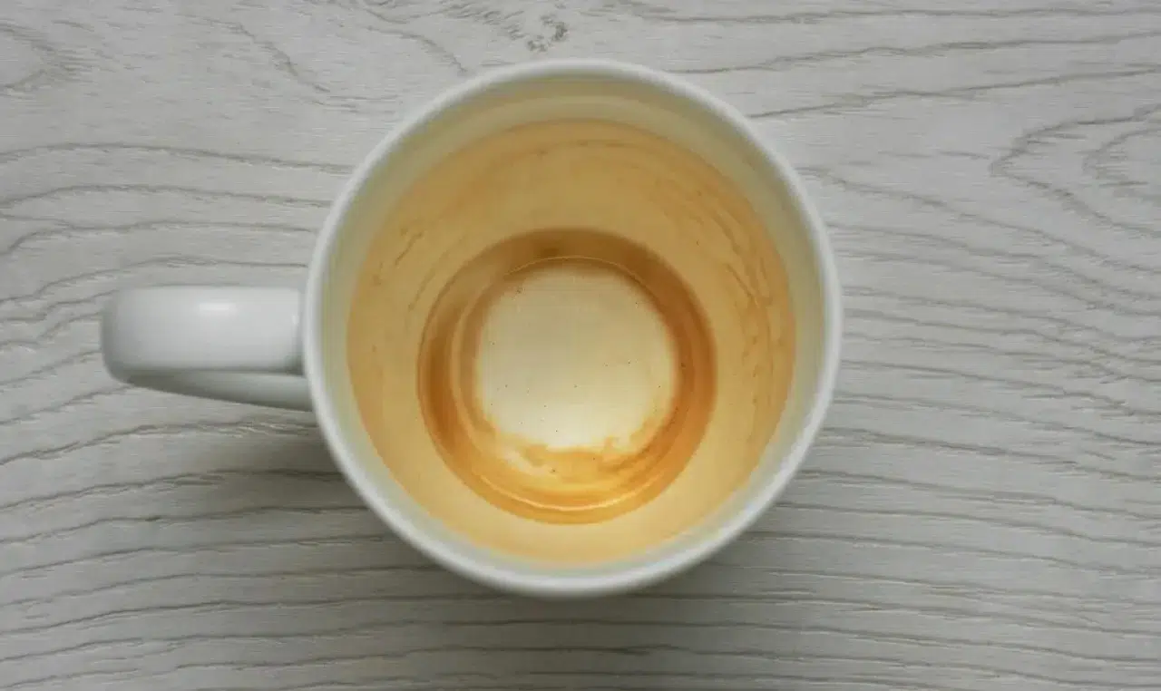 İnatçı Kahve Lekesinin İzi Bile Kalmıyor! Beş Yöntem Test Edildi, En Etkilisi Belli Oldu