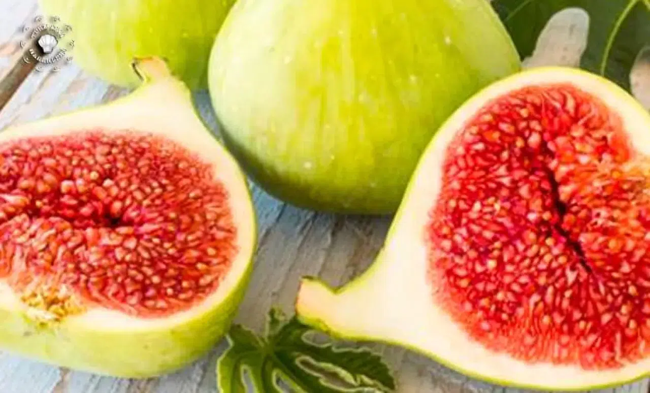 Kırışıklıklara Son! İncir Maskesiyle Gençleşmek Mümkün