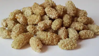 Sadece Bir Avuç Yetiyor! İşte Dutun Saymakla Bitmeyen 9 Mucizevi Faydası