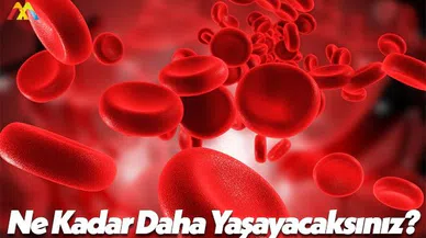 ABD’li Bilim Adamları Ne Kadar Yaşayacağınızı Biliyor!