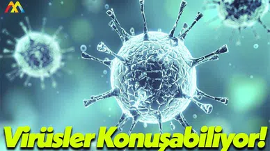 İsrail Weizmann Enstitüsü Moleküler Genetik Bölümü: Konuşabiliyorlar!