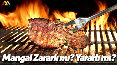Mangalın İnsan Sağlığına Zararı mı Var? Yararı mı Var?