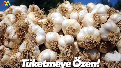 Sarımsak Tüketmeye Özen Gösterin!