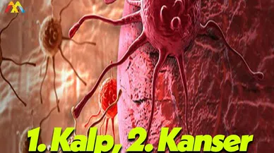 Kanser Gerçekten Ölümcül Bir Sağlık Sorunu!