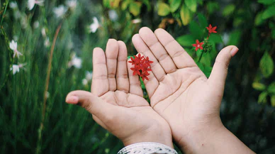 Küçük Mutluluklar Hayatın Büyük Dengesini Kurar