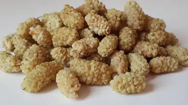 Sadece Bir Avuç Yetiyor! İşte Dutun Saymakla Bitmeyen 9 Mucizevi Faydası