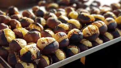 Kestane Pişerken Neden Patlar? Kestanenin Kolay Açılması ve Doğru Pişirme Tüyoları