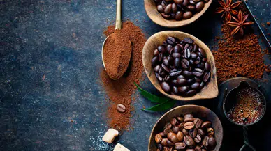 Çay ve Kakao, Uzun Süre Oturmanın Zararını Azaltabilir mi? Bilim Dünyasında Tartışma Başladı