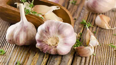 Sarımsak Kokusu Elden Neden Gitmez? İşte Bilimsel Sebebi ve Kesin Çözüm Yolları!