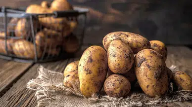 Filizlenmiş ve Yeşillenmiş Patatesi Sakın Tüketmeyin! Bilim İnsanları Uyardı: Zehirleme Riski Var