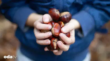 Dior'dan Spa Ritüellerine: Kestane Lükse İlham Oluyor