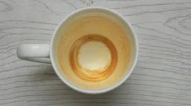 İnatçı Kahve Lekesinin İzi Bile Kalmıyor! Beş Yöntem Test Edildi, En Etkilisi Belli Oldu