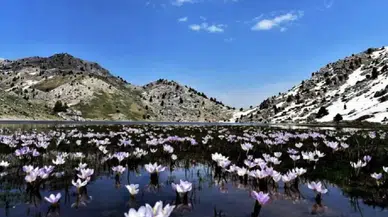 Karagöl Büyüleyici Manzarasıyla Doğa Severlerin Yeni Gözdesi Oldu