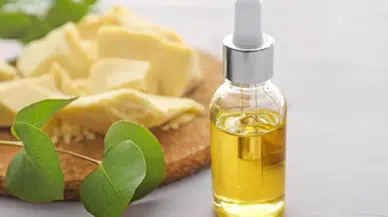 Cilt Bakımında Büyük Hata! Bu Yağlar Yüzü Tıkıyor, Erken Yaşlandırıyor