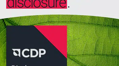 DeFacto, CDP'nin İklim Değişikliği Programında Liderlik Seviyesinde Yer Aldı