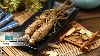 Yorgunlukla baş edemeyenlere doğal çözüm: Ginseng