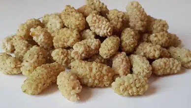 Sadece Bir Avuç Yetiyor! İşte Dutun Saymakla Bitmeyen 9 Mucizevi Faydası