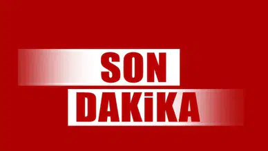 Ünlüler, Eva Cavalli'nin 42 Milyonluk İhmal Davasında Tanık Oldu