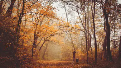 Eylül Ayı Modasıyla Sonbahara Hazırlık!