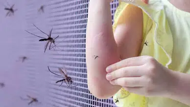 Çocukları Sivrisinekten Korumanın 5 Doğal Yolu!