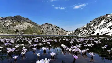 Karagöl Büyüleyici Manzarasıyla Doğa Severlerin Yeni Gözdesi Oldu