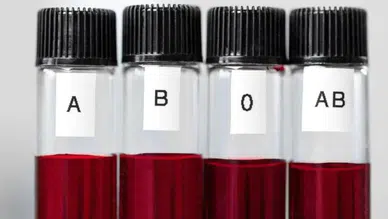 Dünyada Sadece 43 Kişide Var! Altın Kan Grubu Türkiye’de de Görüldü