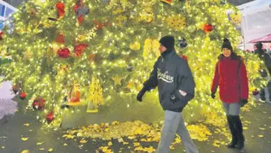 Noel Ağacı Modasının Çevresel Etkileri