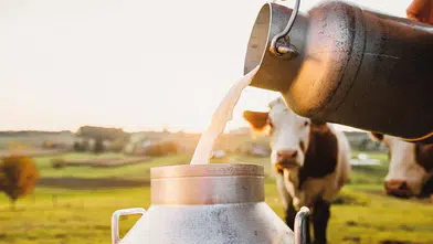 Sokak Sütü Modası Sağlık Açısından Ne Kadar Güvenli?