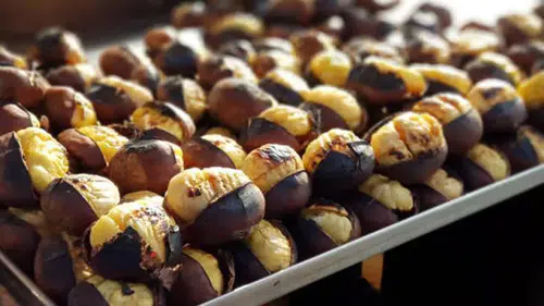 Kestane Pişerken Neden Patlar? Kestanenin Kolay Açılması ve Doğru Pişirme Tüyoları