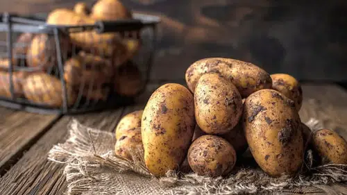 Filizlenmiş ve Yeşillenmiş Patatesi Sakın Tüketmeyin! Bilim İnsanları Uyardı: Zehirleme Riski Var