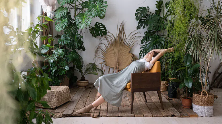 Ev Bitkileriyle Stresinizi Azaltın
