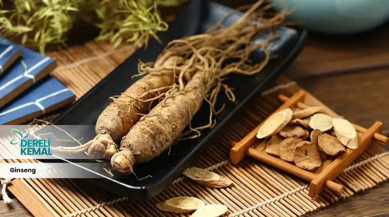 Yorgunlukla baş edemeyenlere doğal çözüm: Ginseng