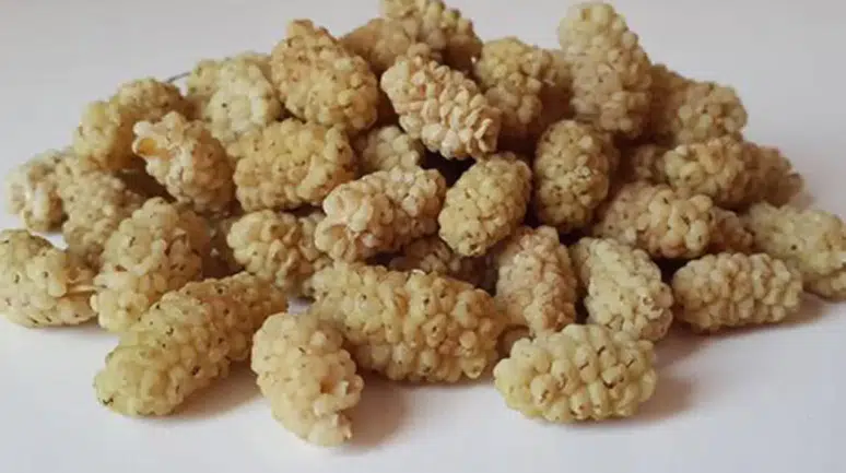 Sadece Bir Avuç Yetiyor! İşte Dutun Saymakla Bitmeyen 9 Mucizevi Faydası