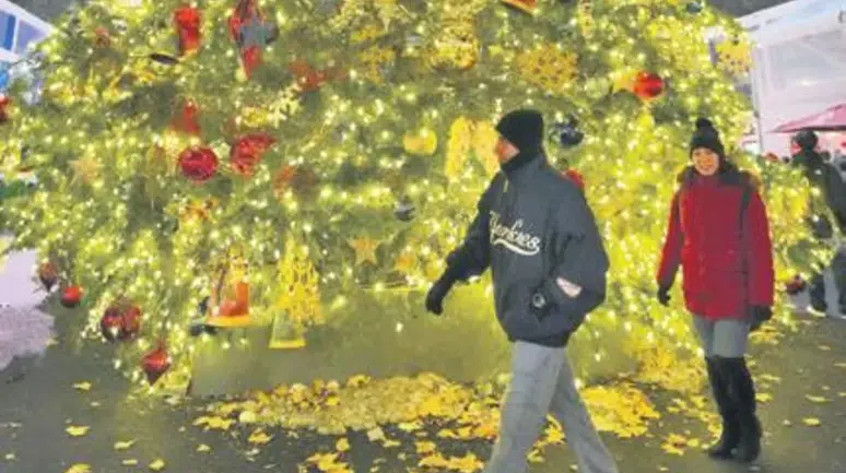 Noel Ağacı Modasının Çevresel Etkileri