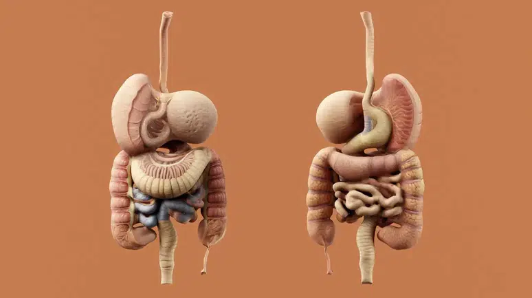 Sosyal Medyada Yaygınlaşan Bağırsak Detoksu Uygulamaları Sağlık Riskleri Taşıyor