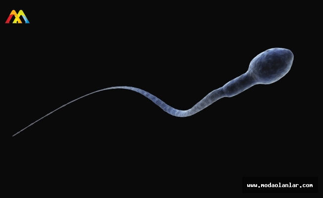 Sperm Sağlığını Korumak İçin Öneriler ve Uyarılar