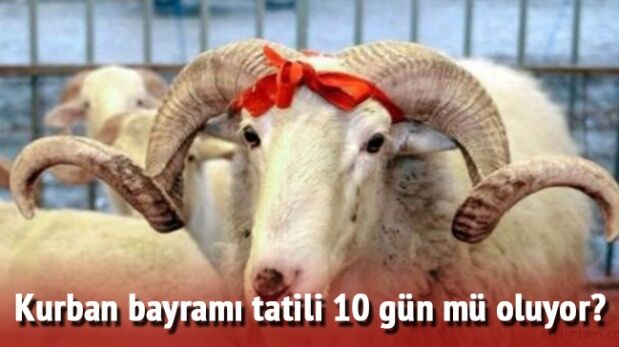 Kurban Bayramı Tatilinin Kaç Gün Olacağı Belli Oldu.. İlk Resmi Açıklama Geldi 8