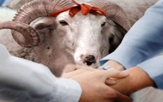 Kurban Bayramı Tatilinin Kaç Gün Olacağı Belli Oldu.. İlk Resmi Açıklama Geldi 3